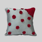 CUSHION COVERS 30